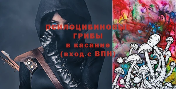 гидра Абаза