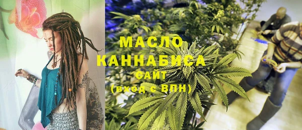 гидра Абаза