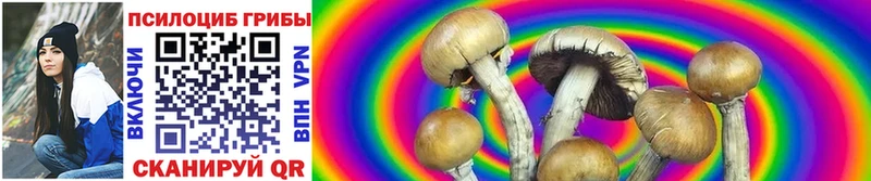 kraken ссылки  Костомукша  Галлюциногенные грибы Magic Shrooms 