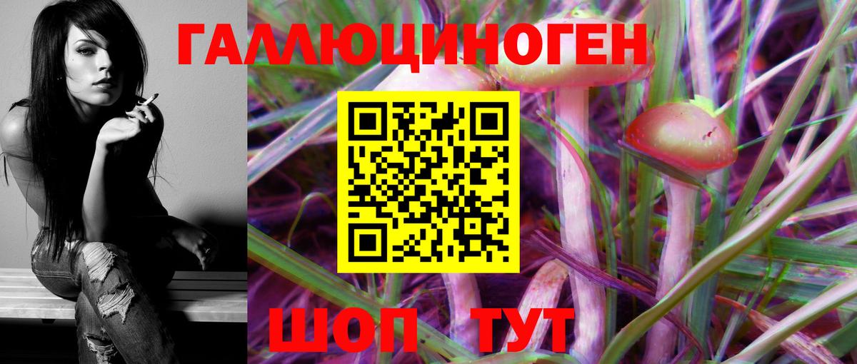 Галлюциногенные грибы Psilocybe  Галлюциногенные грибы прущие грибы  Костомукша  Вход с VPN 