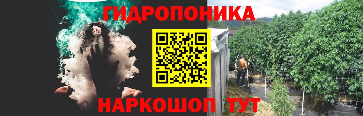 Костомукша  Каннабис индика  Канабис AK-47  Конопля ГИДРОПОН  Вход с VPN  Марихуана индика 
